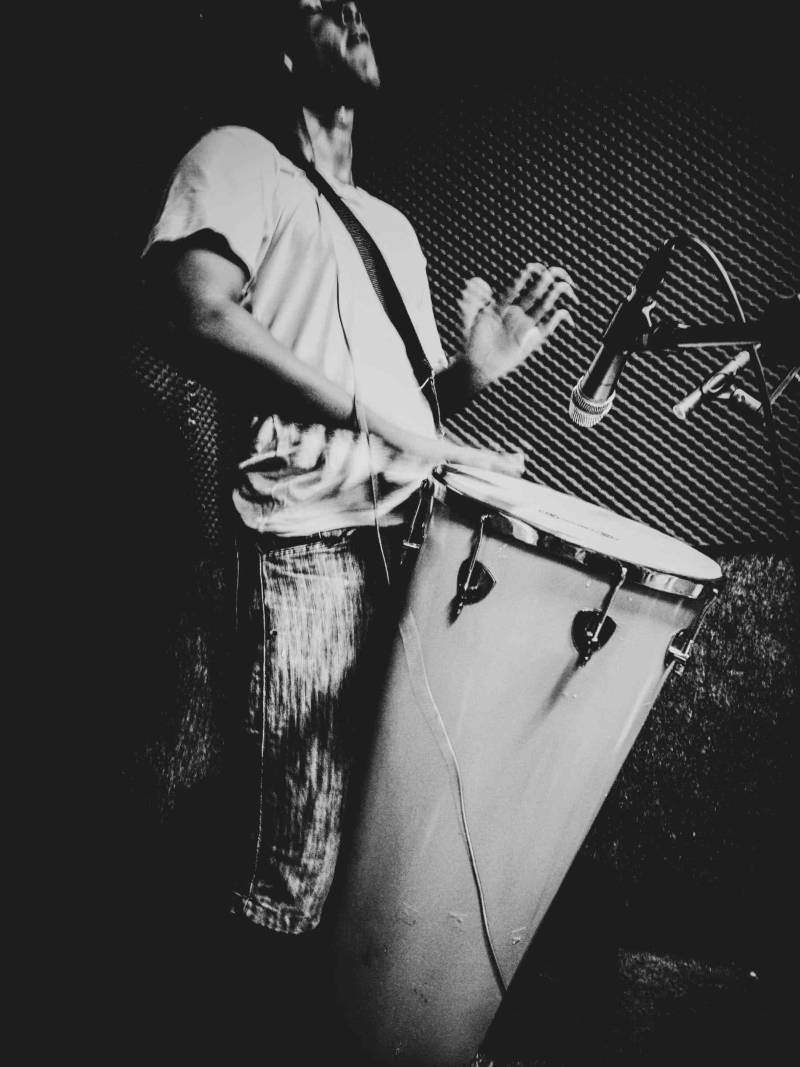 Timbal Muletone Audio